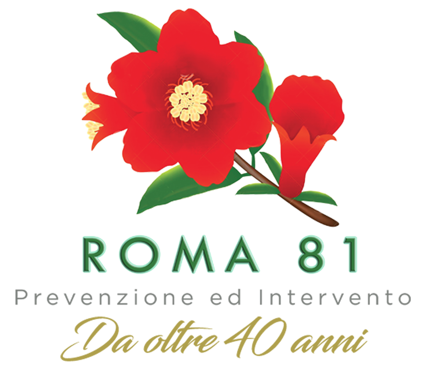 Roma81